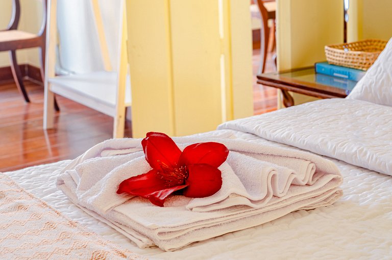 Studio em casarão de época 2 quartos até 6 hóspedes